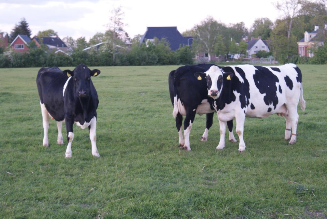 Bnb-Heirhuys Visvliet Exteriér fotografie